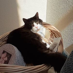 Meet your Posher, Marilyn